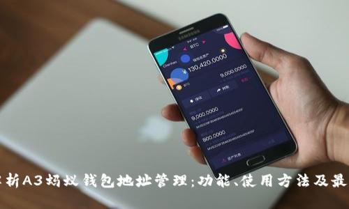 全面解析A3蚂蚁钱包地址管理：功能、使用方法及最佳实践