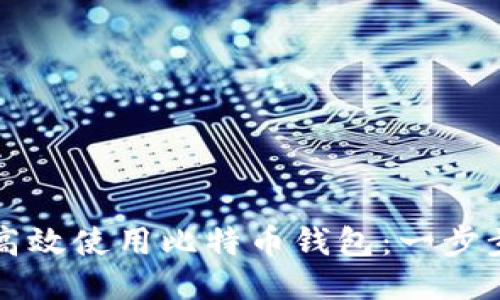 如何高效使用比特币钱包：一步步指南