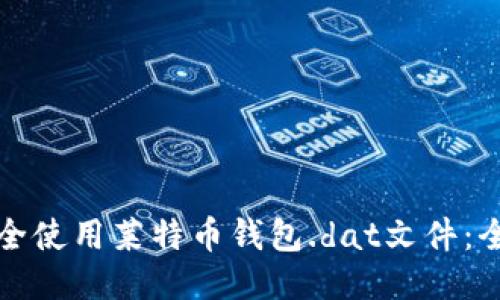 如何安全使用莱特币钱包.dat文件：全面指南