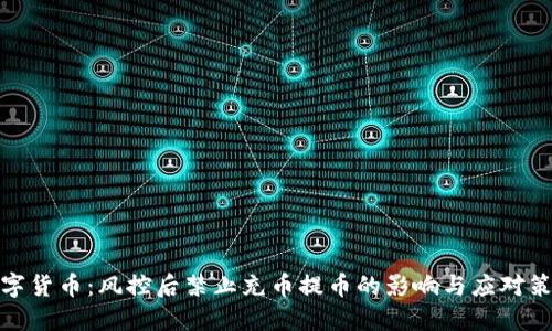 数字货币：风控后禁止充币提币的影响与应对策略