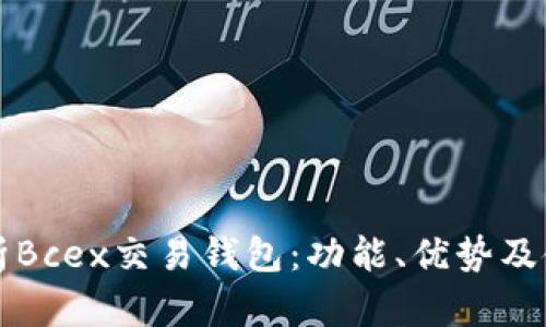 全面解析Bcex交易钱包：功能、优势及使用指南