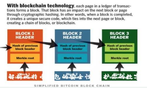 全面解析比特币钱包的安全性：保护你的数字资产