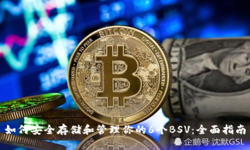 如何安全存储和管理你的6个BSV：全面指南