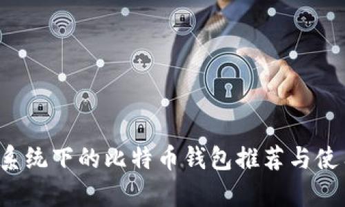  安卓系统下的比特币钱包推荐与使用指南