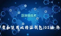 如何下载和使用比特派钱