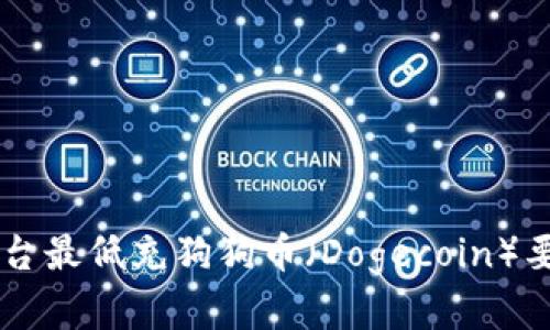 币安平台最低充狗狗币（Dogecoin）要求详解