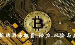 格式:全面解析狗狗币投资