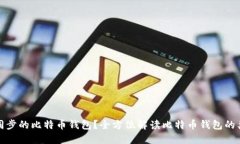 如何选择不用同步的比特币钱包？全方位解读比
