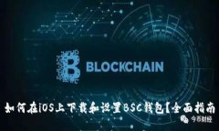 如何在iOS上下载和设置BSC钱包？全面指南