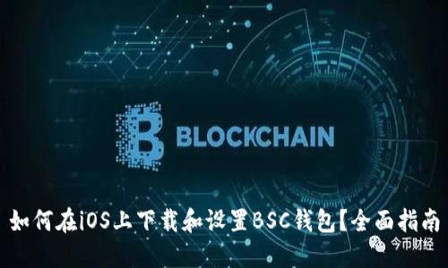 如何在iOS上下载和设置BSC钱包？全面指南
