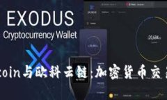 深入了解Okcoin与欧科云链：加密货币交易平台的