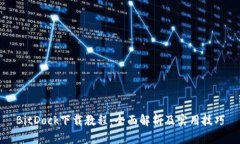 BitDock下载教程：全面解析