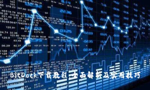 BitDock下载教程：全面解析及实用技巧