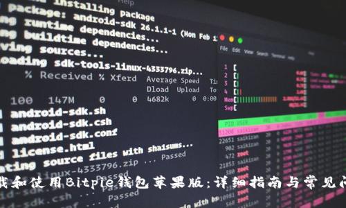 如何下载和使用Bitpie钱包苹果版：详细指南与常见问题解答