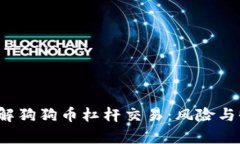  深入了解狗狗币杠杆交易：风险与收益分析