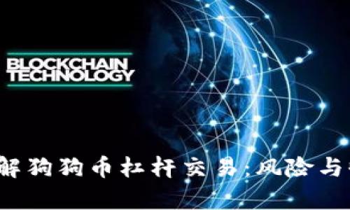  深入了解狗狗币杠杆交易：风险与收益分析