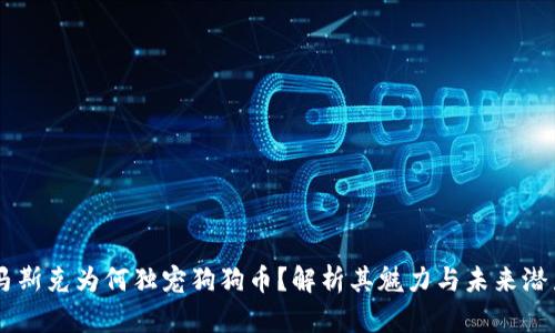 马斯克为何独宠狗狗币？解析其魅力与未来潜力