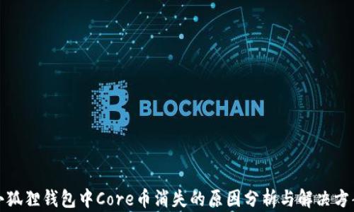 
小狐狸钱包中Core币消失的原因分析与解决方案
