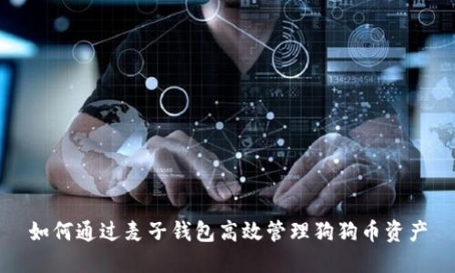 如何通过麦子钱包高效管理狗狗币资产