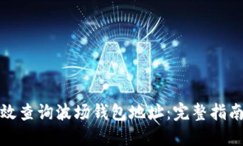 如何高效查询波场钱包地址：完整指南和技巧