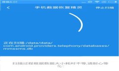 深入分析OKPay钱包安卓版的