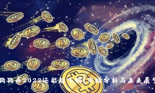 狗狗币2022还能起飞吗？市场分析与未来展望