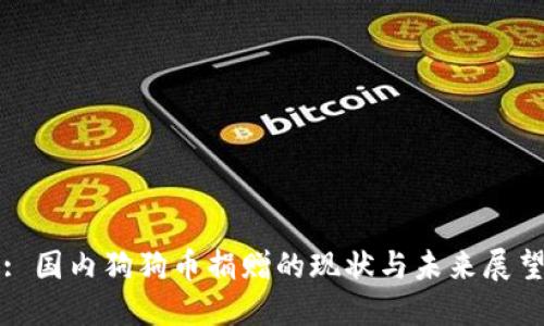 : 国内狗狗币捐赠的现状与未来展望
