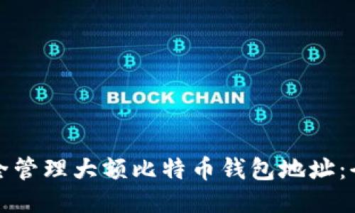如何安全管理大额比特币钱包地址：全面指南