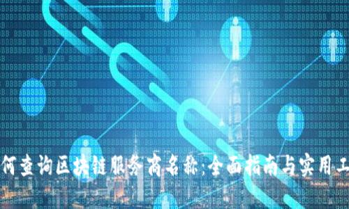 如何查询区块链服务商名称：全面指南与实用工具