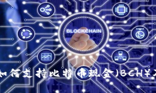 以太坊钱包如何支持比特币现金（BCH）及其优势分析