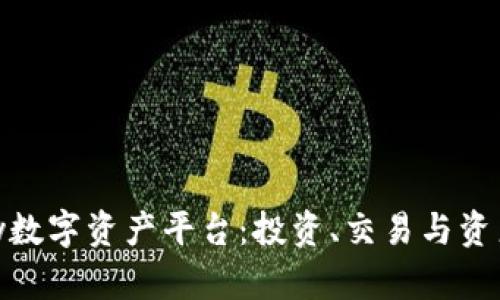 全面解析BHPay数字资产平台：投资、交易与资产管理的新时代