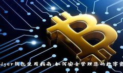 Ledger钱包使用指南：如何安全管理您的数字资产