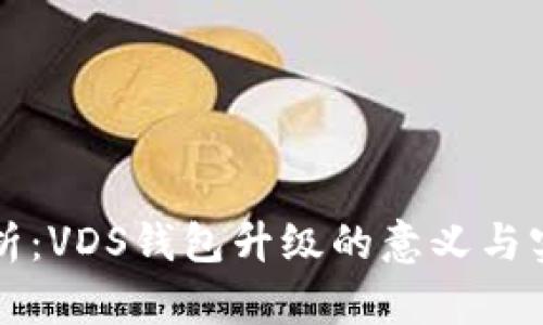 全面解析：VDS钱包升级的意义与实用指南