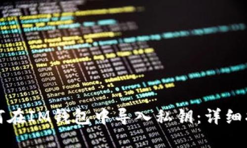 如何在IM钱包中导入私钥：详细指南
