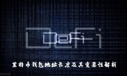 莱特币钱包地址长度及其重要性解析