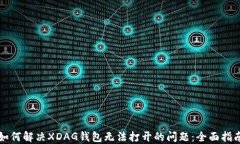 如何解决XDAG钱包无法打开的问题：全面指南