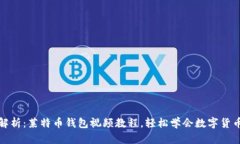 全面解析：莱特币钱包视频教程，轻松学会数字