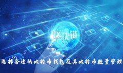 如何选择合适的比特币钱包及其比特币数量管理