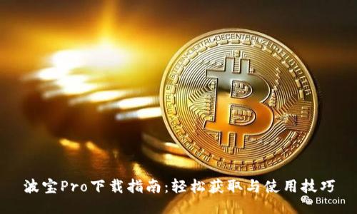 波宝Pro下载指南：轻松获取与使用技巧