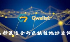 如何选择最适合的区块链地址查询软件？
