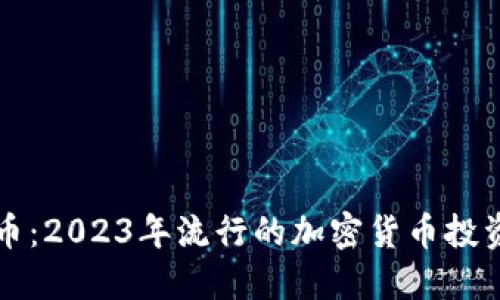 狗狗币：2023年流行的加密货币投资指南