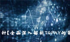 TOPAY是什么币种？全面深入