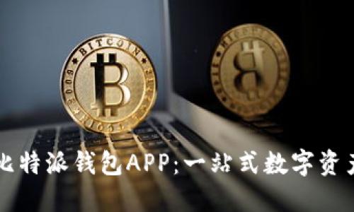 全面解读比特派钱包APP：一站式数字资产管理平台
