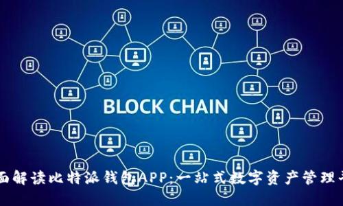 全面解读比特派钱包APP：一站式数字资产管理平台