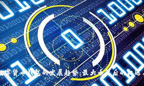 未来数字货币钱包的发展趋势：最大币背后的机遇与挑战