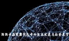 狗狗币在苹果钱包中的未