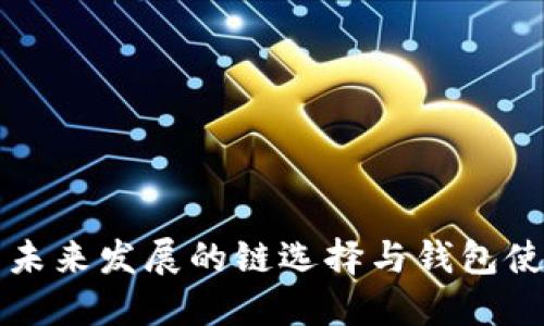 狗狗币未来发展的链选择与钱包使用指南