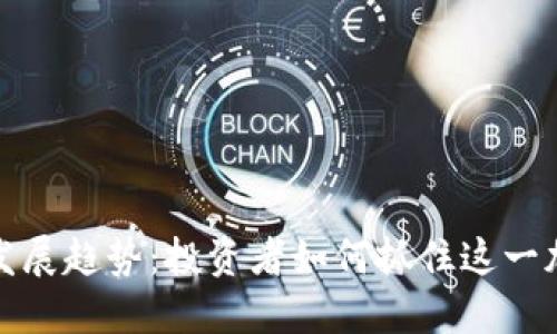 狗狗币未来的发展趋势：投资者如何抓住这一加密货币的机遇