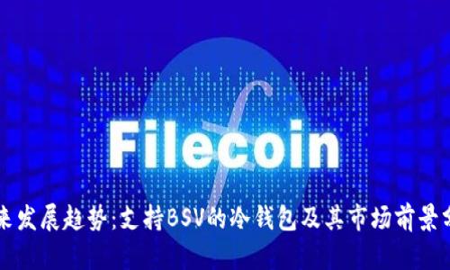 未来发展趋势:支持BSV的冷钱包及其市场前景分析