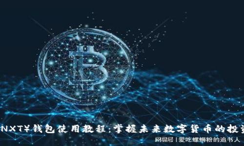 未来币(NXT)钱包使用教程:掌握未来数字货币的投资与管理